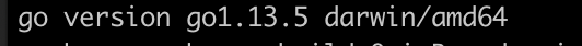 Go version output